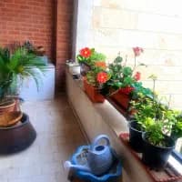 سازه برند ۱۲۰متر ۲خ/ غرق نور جنوب