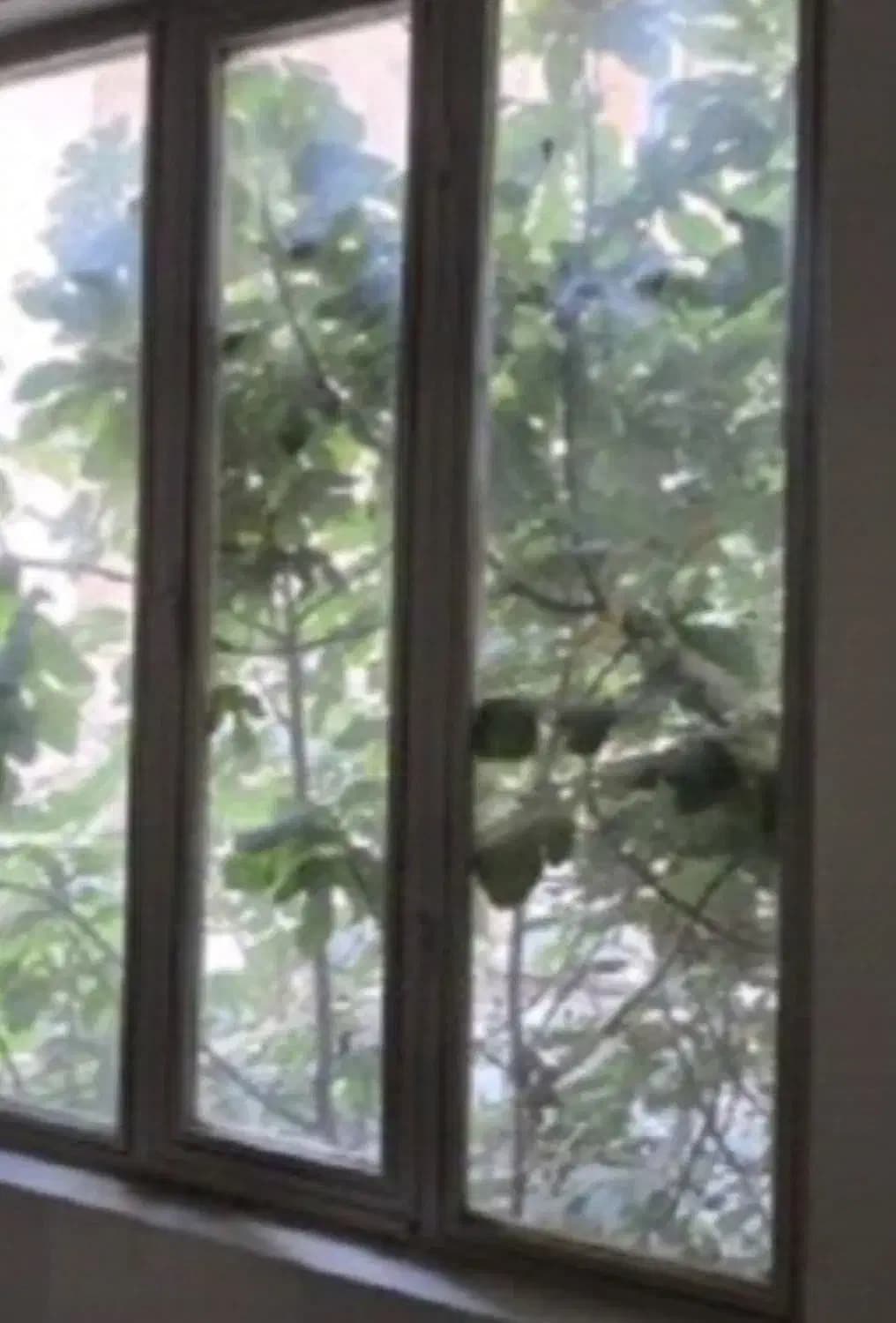 اجاره آپارتمان پول لازم