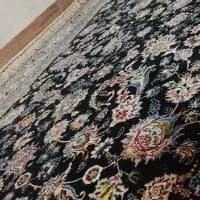 همخونه آقا خونه ندارم کرایه میدم