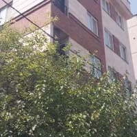 آپارتمان رهن کامل نوساز